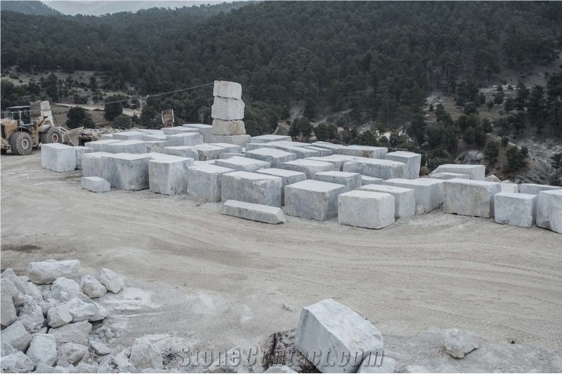 Tundra Blue Marble Blocks