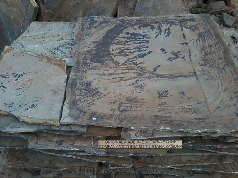 Fossil Stone Landscaping Stones, Flagstones, Dendrites