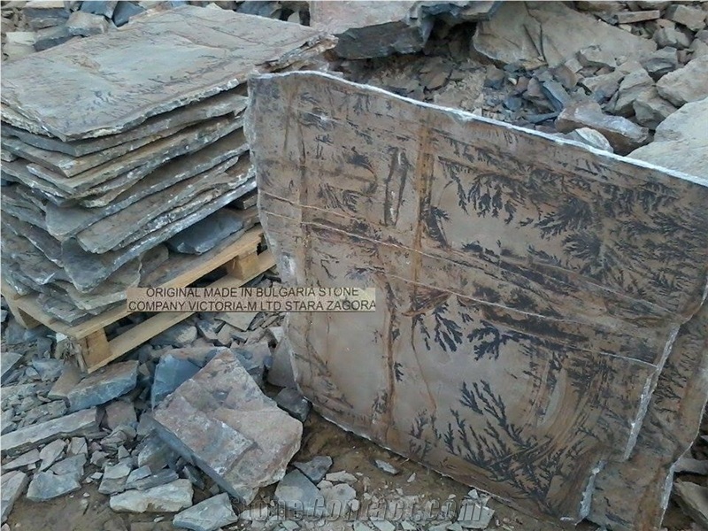 Fossil Stone Landscaping Stones, Flagstones, Dendrites