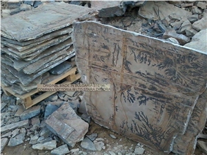 Fossil Stone Landscaping Stones, Flagstones, Dendrites