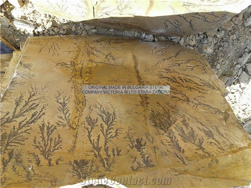 Fossil Stone Landscaping Stones, Flagstones, Dendrites