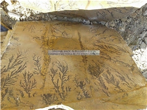Fossil Stone Landscaping Stones, Flagstones, Dendrites