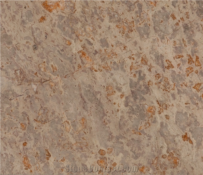 Brecha Sto Antonio, Portuguese Limestone