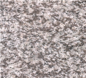 New Guangming Grey Granite Slabs & Tiles, China Grey Granite