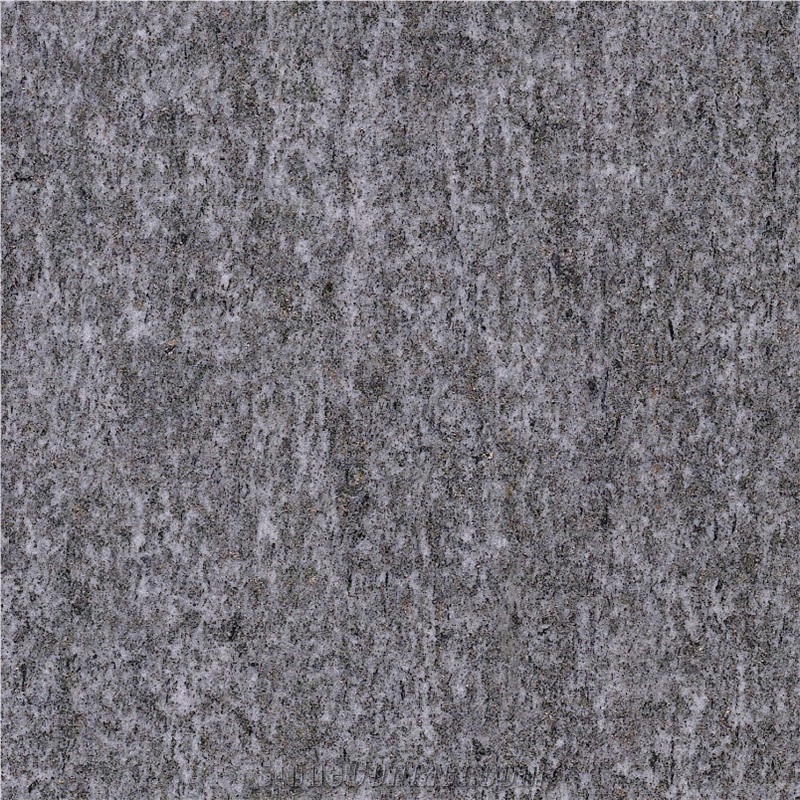 Calanca Gneiss Flamed Slabs & Tiles,Gneiss Calanca Switzerland Grey Stone