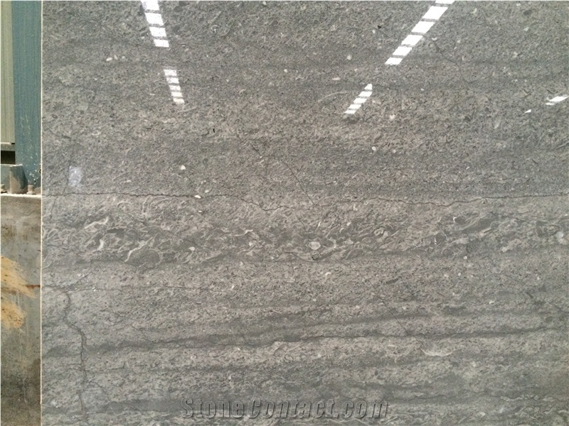 Fossil Beige Marble Tiles & Slabs, Grey Marble Slabs China