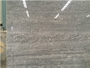 Fossil Beige Marble Tiles & Slabs, Grey Marble Slabs China