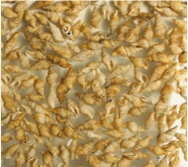 Artificial Onyx with Snail Tiles & Slabs, Engineered Stone Tiles & Slabs