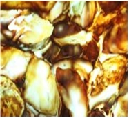 Gold Count Artificial Onyx Tiles & Slabs, Engineered Stone Tiles & Slabs