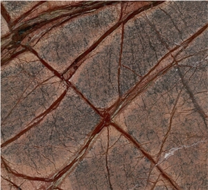 Rain Forest Brown Marble Slabs & Tiles, India Brown Marble