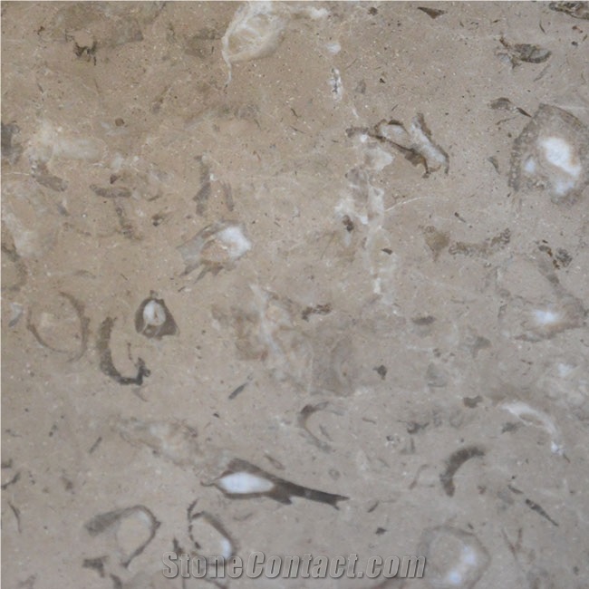 Gotic Mory Limestone