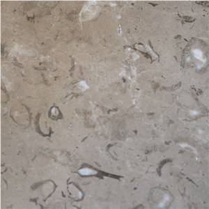 Gotic Mory Limestone