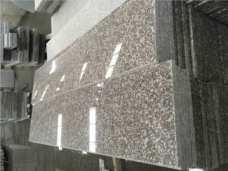 Cheap Polished G664 Granite/Luo Yuan Red Granite/ Brainbrook Brown Granite/Black Spots Brown Granite/China Pink Stairs & Steps, Treads and Threshold