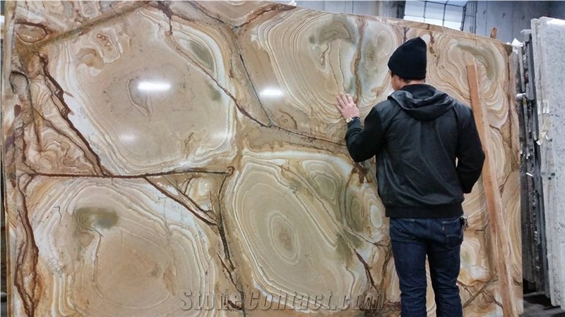 Stone Wood Quartzite Slabs, Yellow Quartzite Flooring Tiles, Polished Granite Brazil