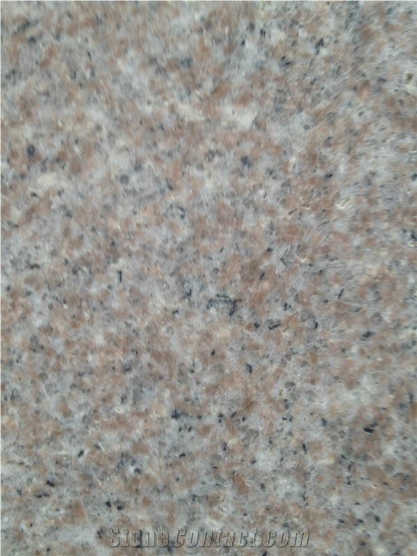 Shrimp Red Pink Granite Slabs, Pink Granite Tiles