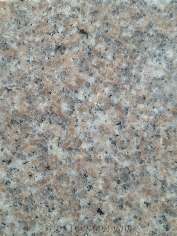 Shrimp Red Pink Granite Slabs, Pink Granite Tiles