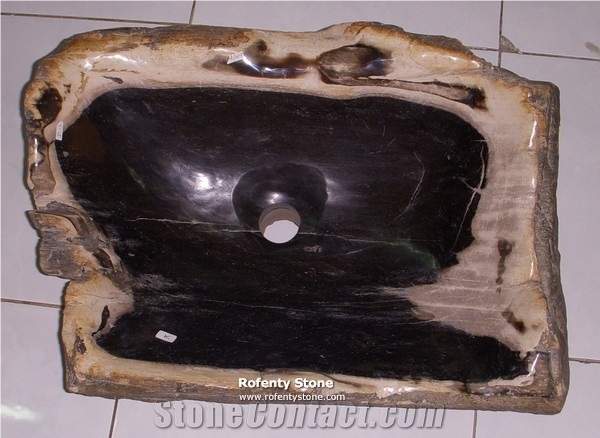 Fossilwood Stone Sink