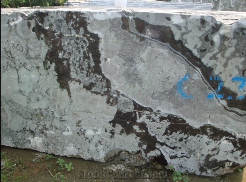 Fantasy Lily Granite Block Vein Cut