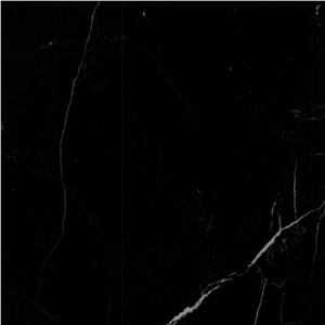 Black Queen Marble - Alexandrette Black Marble Slabs & Tiles