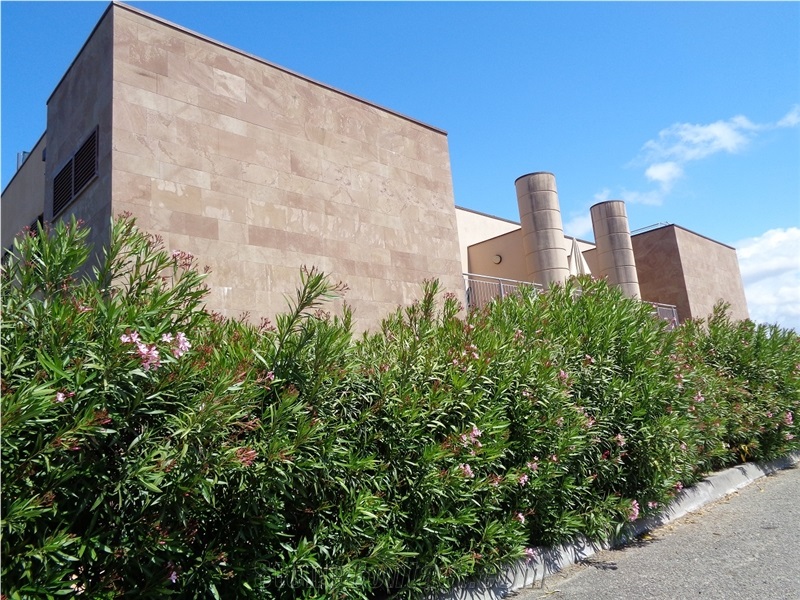 Pietra Santa Fiora Slabs & tiles, Santafiora brown Sandstone floor tiles, wall tiles 
