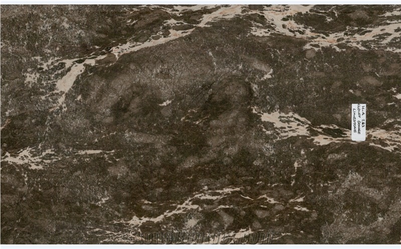 Gohare Cloudy Limestone Tiles & Slabs Iran, Brown Limestone Tiles & Slabs Polished Iran