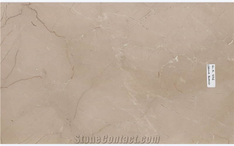 Crema Blanco Marble