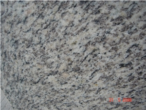 Polished Tiger Skin White Slabs and Tiles, Honed Tiles, Flamed Middle Slab,Sawn Paving,Flamed+Brushed Covering,Pipeappled Landscaping,Chiseled Blocks,Bush-Hammered Pattern