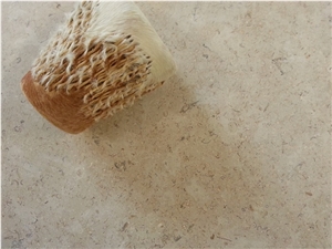 Dijon Limestone Tiles (Honed)