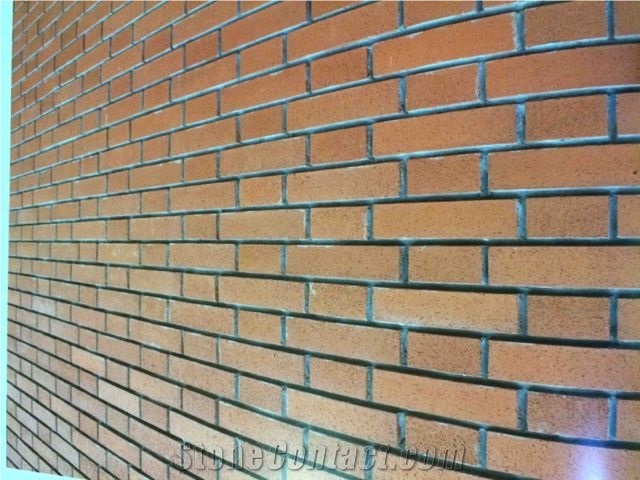 Clay Tiles on Wall Light Weight Extudes, Building Stones