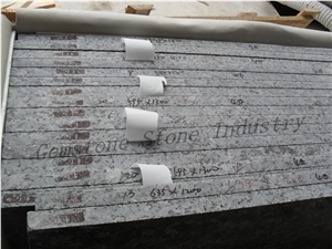 Factory Directly Sale Silver Pearl Granite Tiles & Slabs