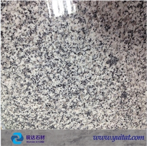 G603 Polished Grey Granite Tiles 60*30*2cm,60*60*2cm