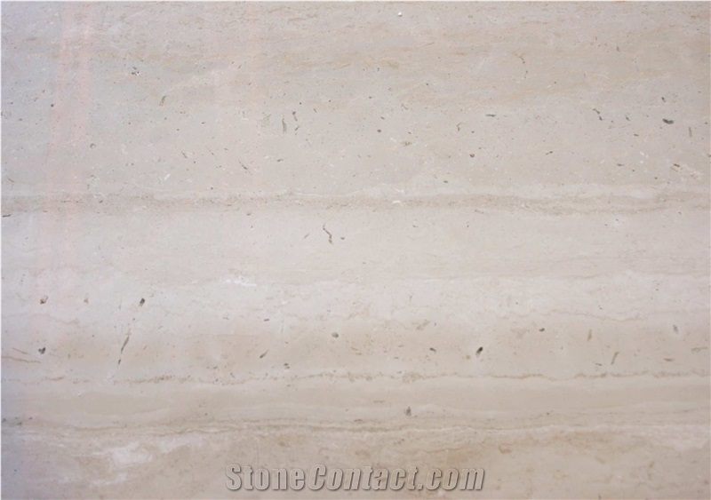Basilica Limestone Vein Cut