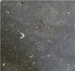 Caliza San Vincente Slabs & Tiles, San Vicente Limestone Tiles Caliza San Vincente Slabs & Tiles, San Vicente Limestone Tiles