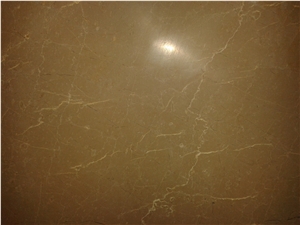 Bursa Beige Gold Beige
