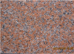China Maple Leaf Red Granite,G562 Granite,China Red Granite Slabs & Tiles China Maple Leaf Red Granite,G562 Granite,China Red Granite Slabs & Tiles