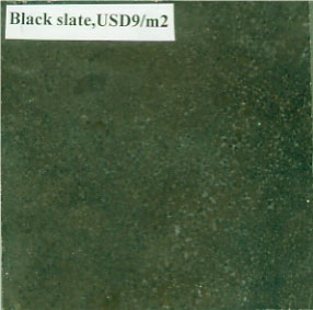 China Black Slate Slabs & Tiles
