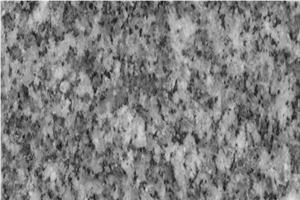 Grey Egypt Granite , Bianco granite Slabs & Tiles
