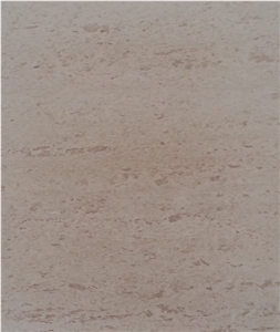 Vratza Limestone - Cream Flower - Vein