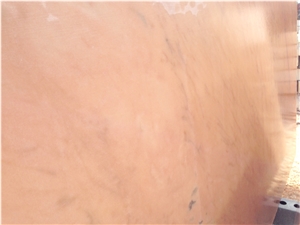 Rosa Portugal Extra Quality