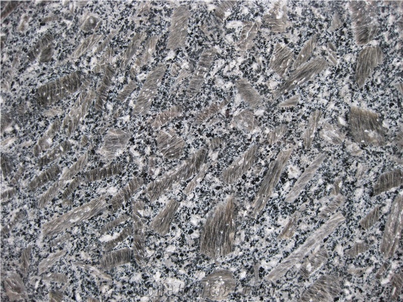 Royal Brown/Brown China/Brown Pearl/Royal Grey Granite Tiles & Slabs