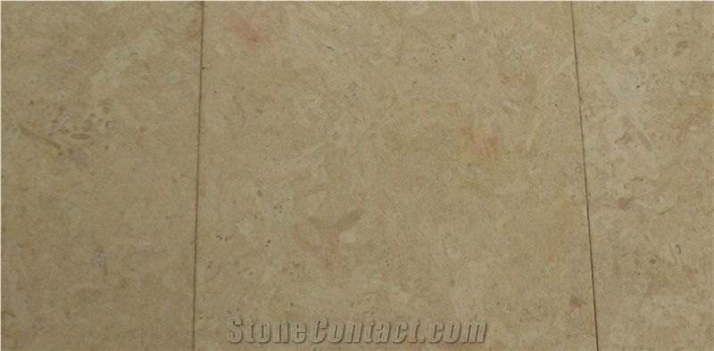 Floweri Gold Limestone
