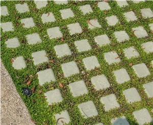 Mint Sandstone Cube Stones/Pavers Mint Sandstone Cube Stones/Pavers