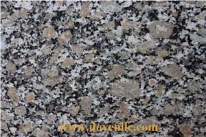 Gialle Golden Autumn Chinese Granite Counter Tops & Flat Edge, Giallo Golden Autumn Yellow Granite Kitchen Countertops