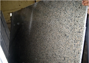 Mokalsar Green Granite Slabs & Tiles, India Green Granite