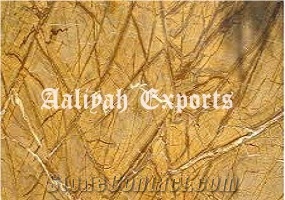 Rainforest Gold Marble Slabs, Tiles