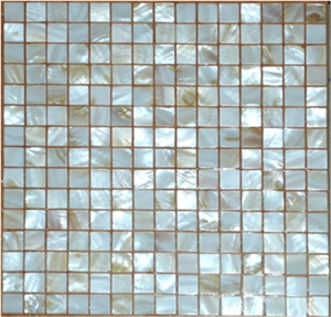 Colorful Shell Mosaic