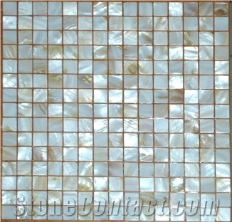 Colorful Shell Mosaic