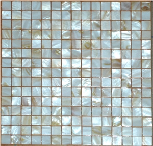 Colorful Shell Mosaic