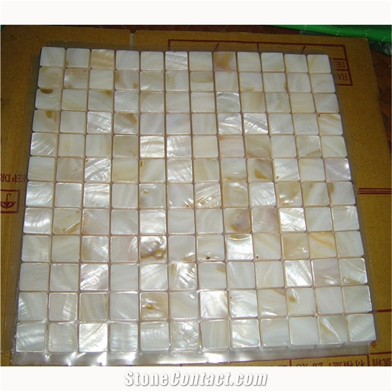 Colorful Shell Mosaic