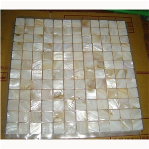 Colorful Shell Mosaic
